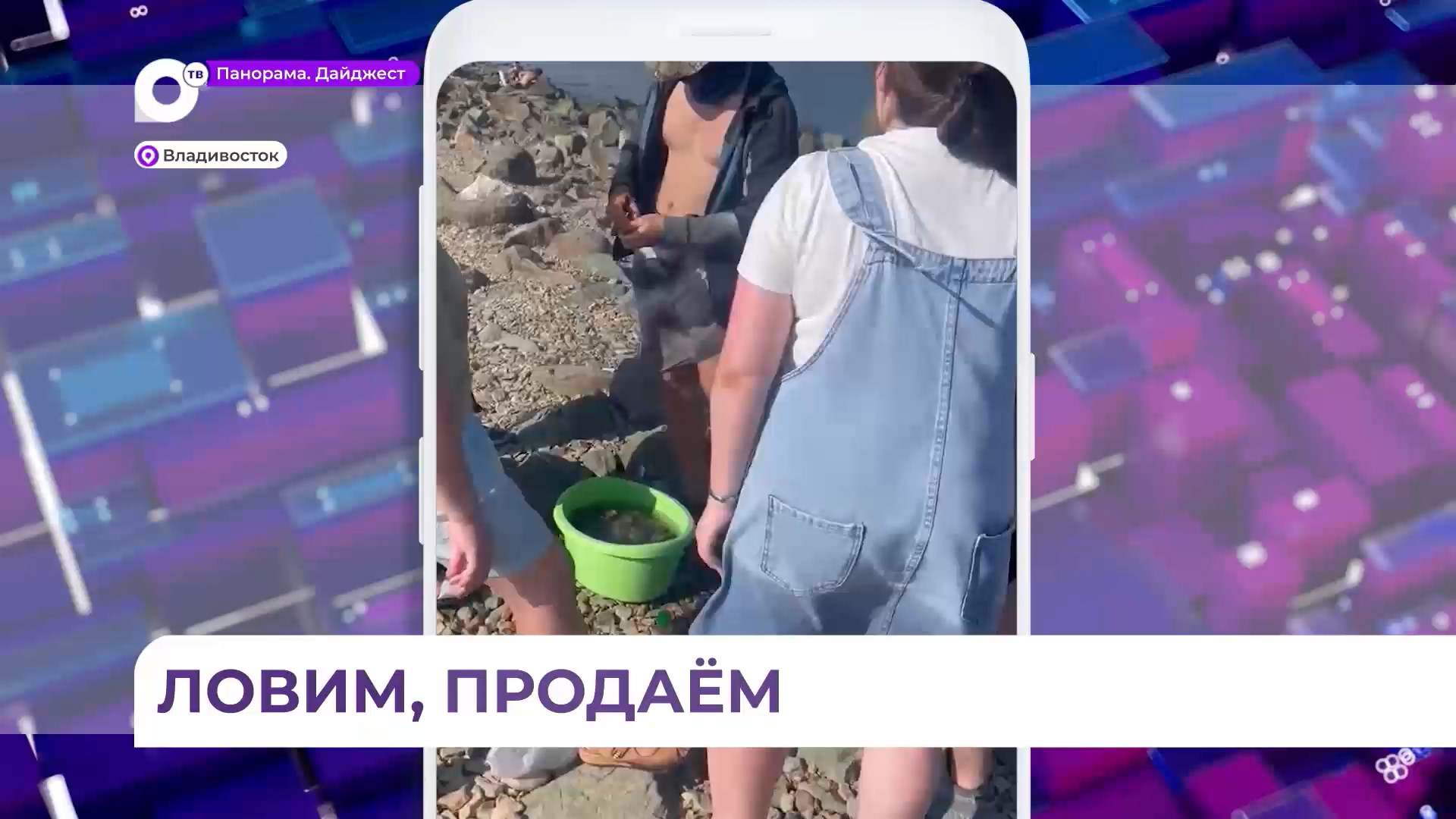 Новый вид бизнеса освоили владивостокцы в районе Токаревского маяка