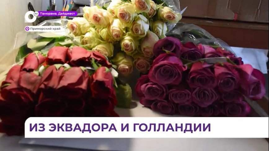 В Приморье прибыли цветы из Эквадора, Кении и Голландии