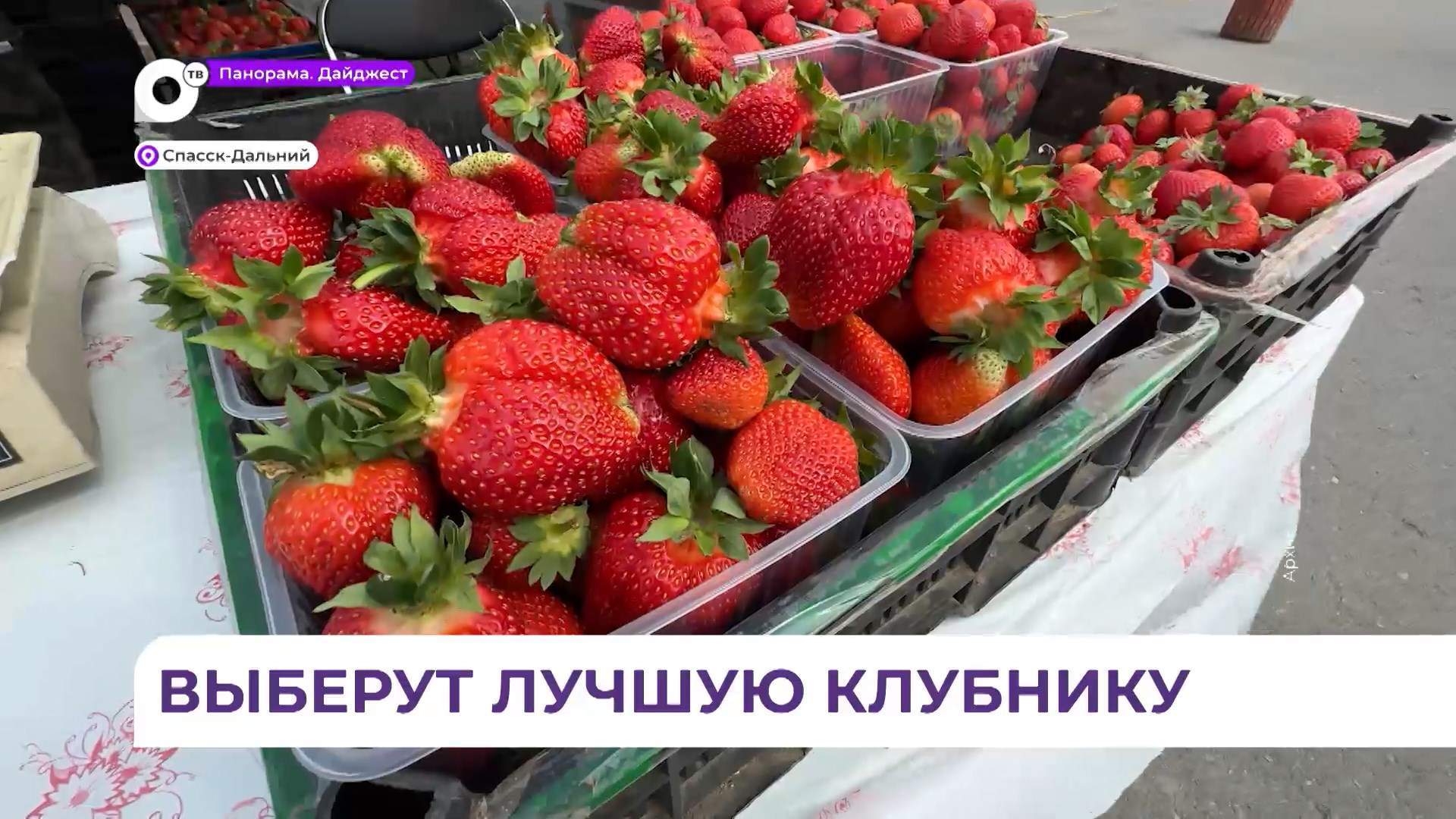 Спасск-Дальний станет «Клубничной столицей Приморья»