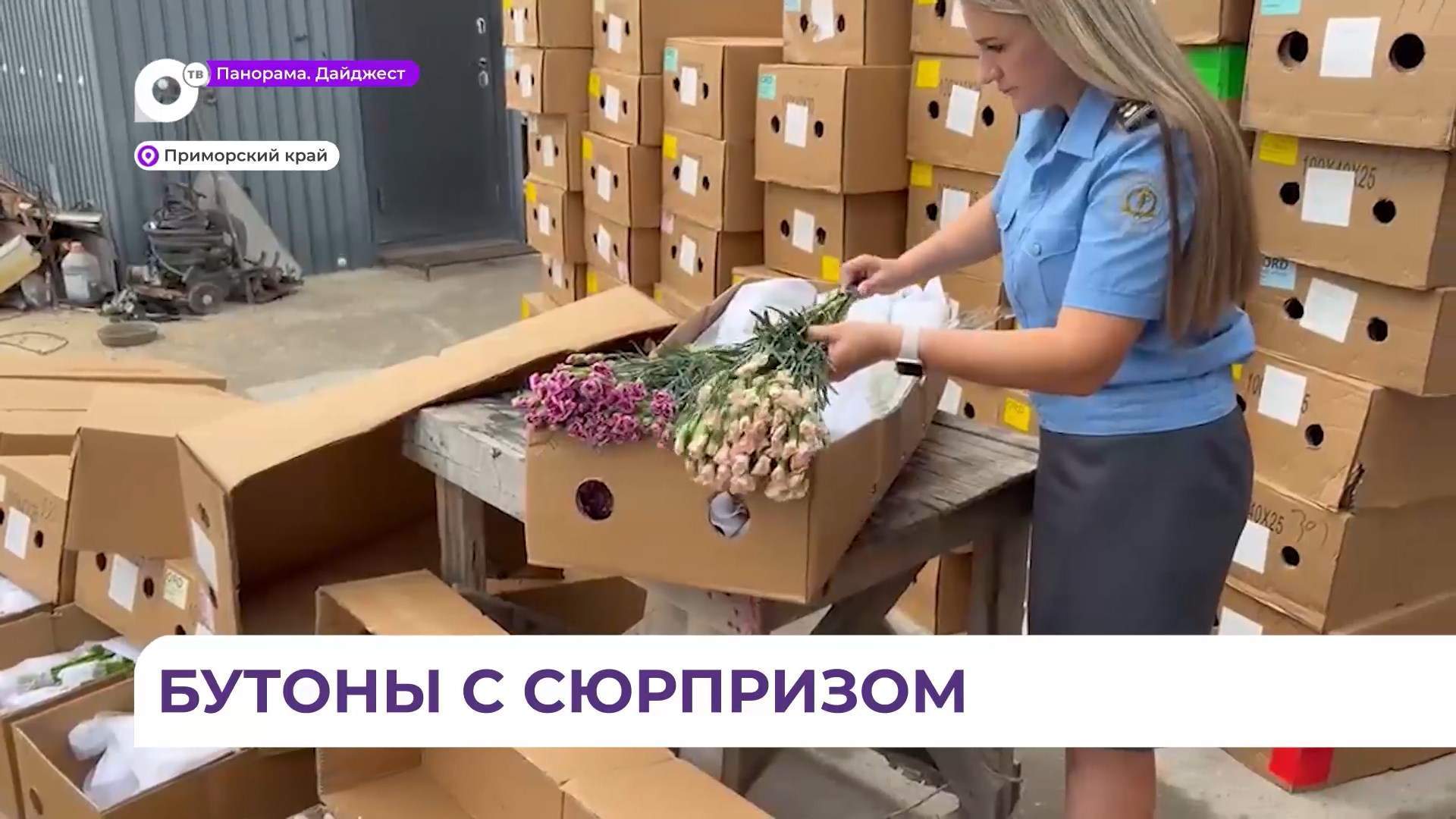 В Приморье уничтожили крупную партию импортных цветов, заражённых трипсом