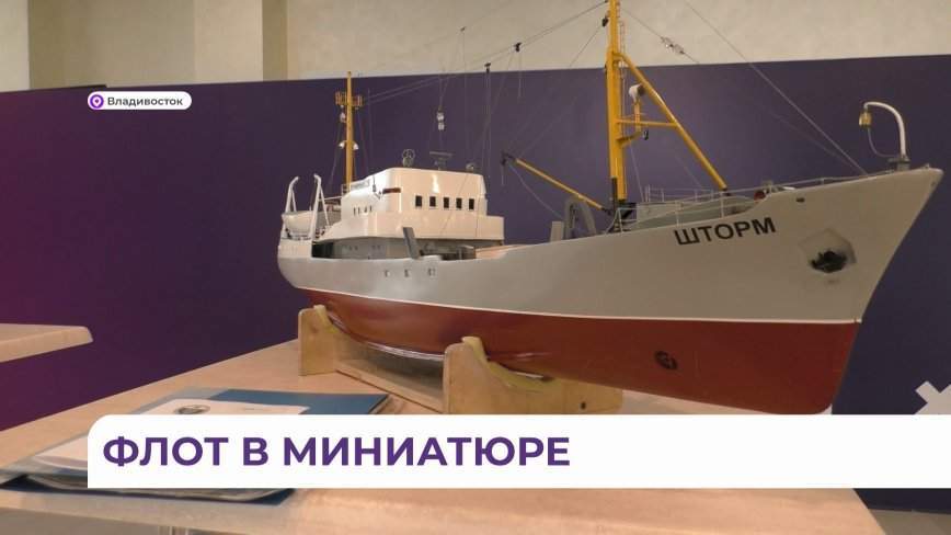 Флот в миниатюре можно увидеть на «Кубке Тихого океана 2023» во Владивостоке