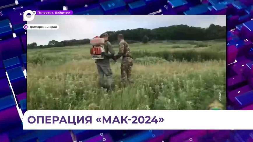 Антинаркотическая операция «Мак» стартовала в Приморье