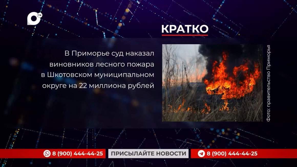 Кратко / 19.07.24 / Вечер