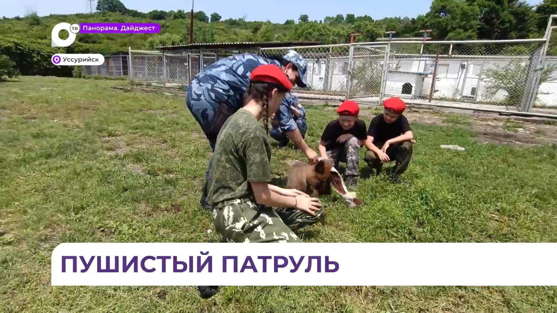 Юнармейцы Хороля посетили питомник ФСИН в Уссурийске