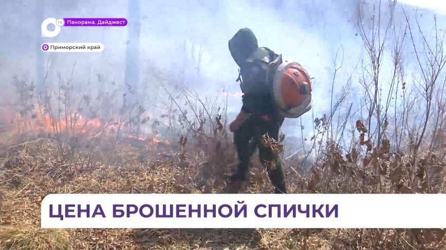 Жителям Приморья напоминают о штрафах за поджог леса