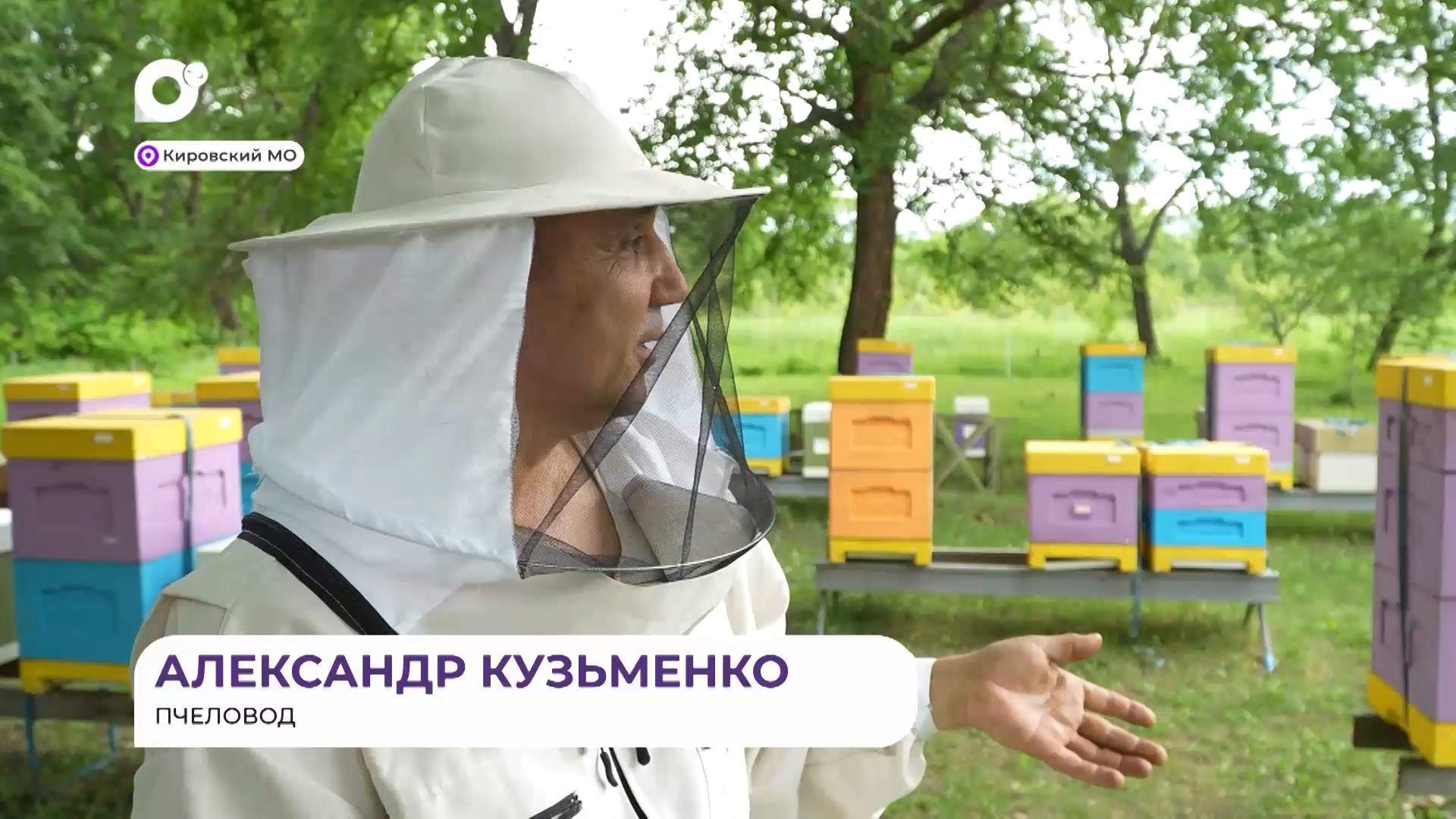 Прямая речь / О пчеловодстве / 16.07.2026 