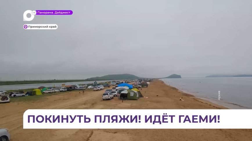 Покинуть пляжи рекомендуют отдыхающим в Приморье