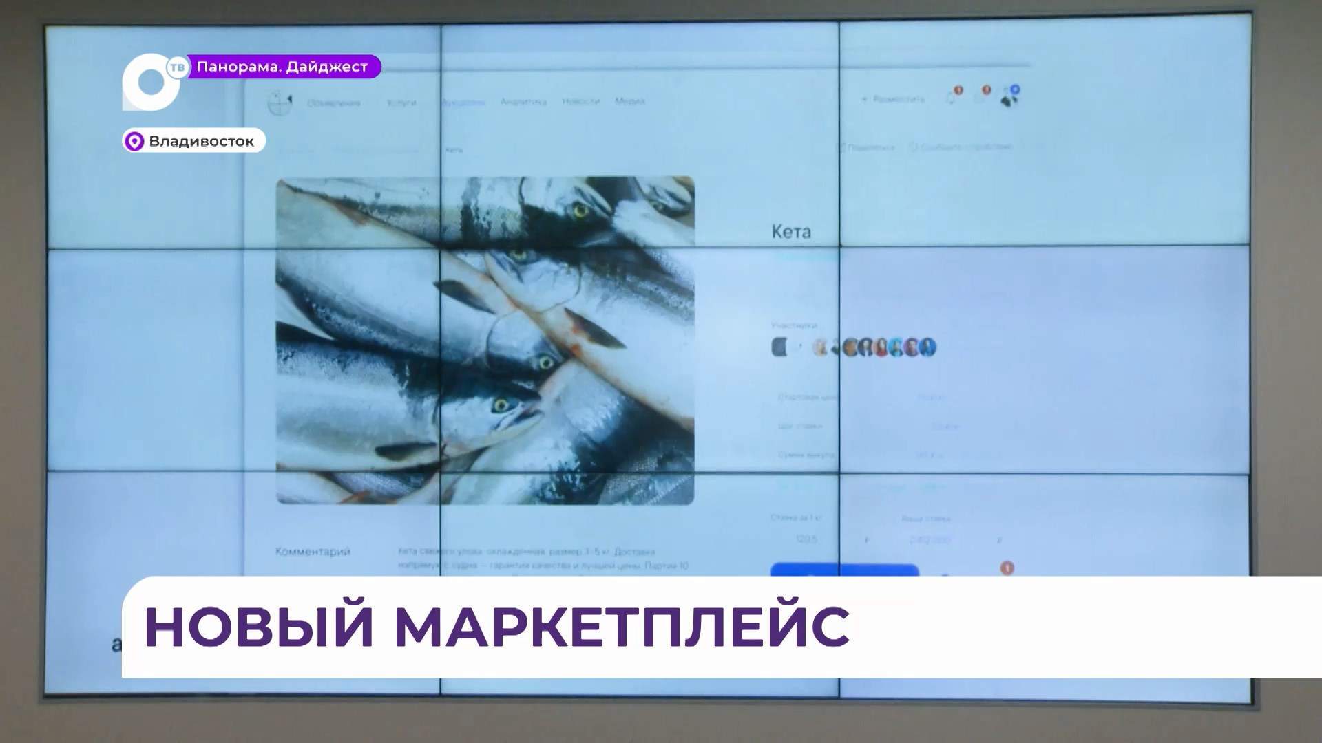 Новый маркетплейс FishStat презентовали на ВЭФ-2025