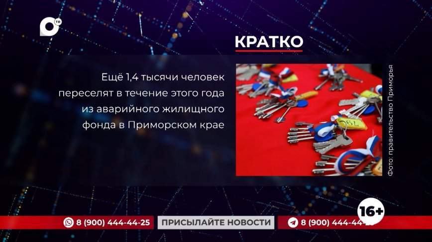 Кратко. 15.02.24 (Вечер)