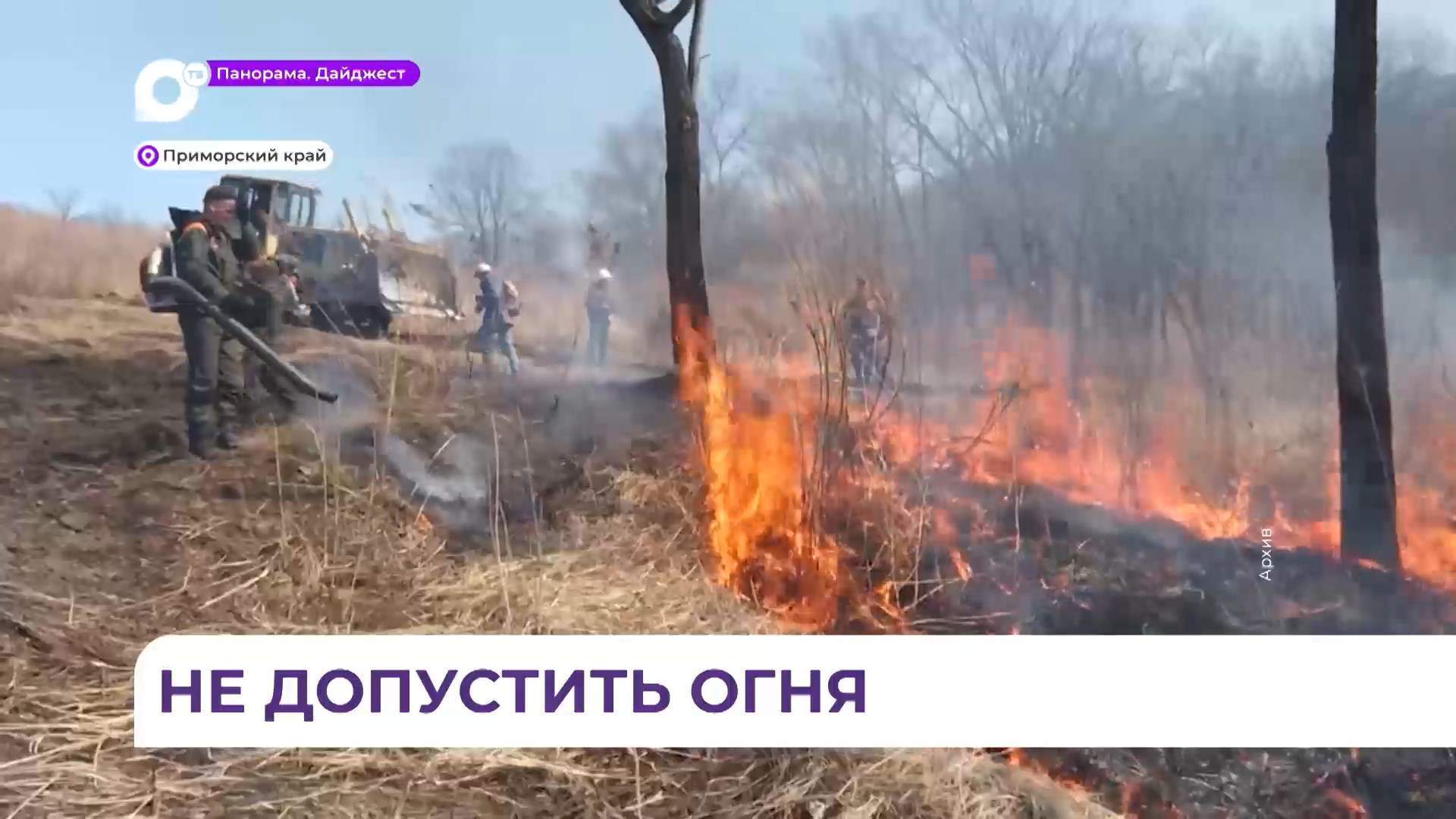 В Приморье доложили о готовности к сезону пожаров