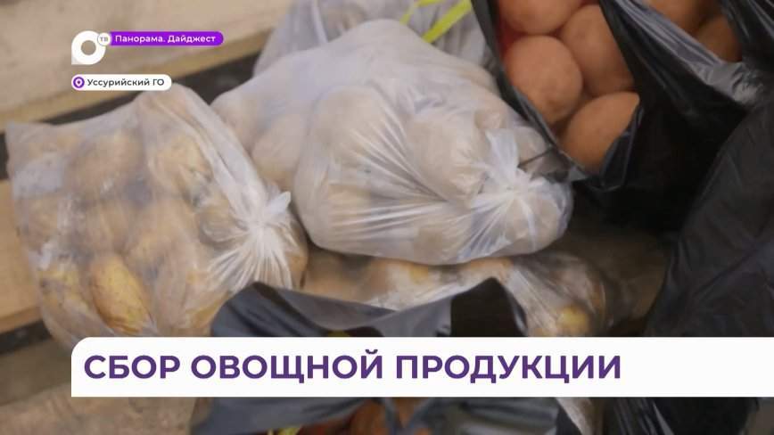 Вместо Дня города – помощь людям: в Уссурийске раздали овощи и деньги