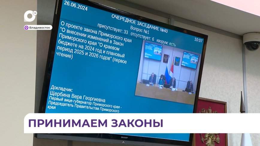 Депутаты ЗакС рассмотрели целый ряд мер поддержки некоторых категорий приморцев