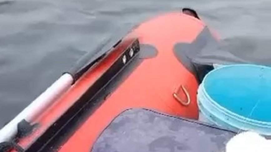 Приморец поймал морской подарок со страшным взглядом