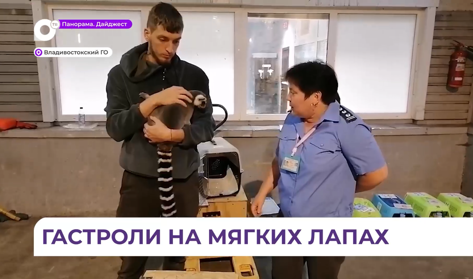 Петербургский зоотеатр впервые отправился самолётом из Владивостока на камчатские гастроли 
