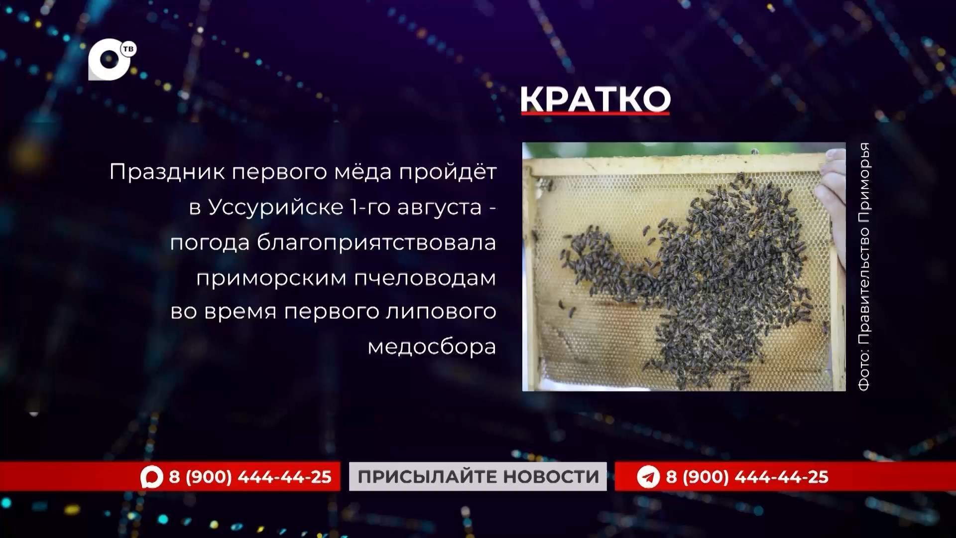 Кратко / 27.07.26 