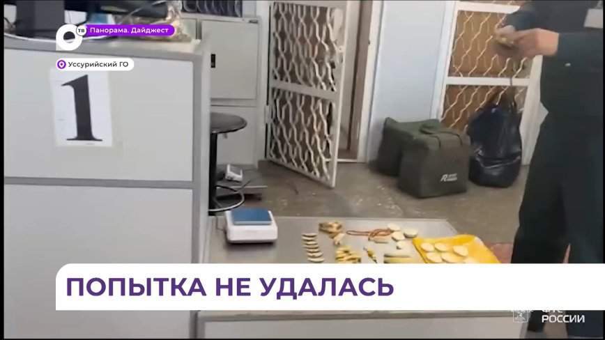 В Приморье таможенники задержали туриста из Китая