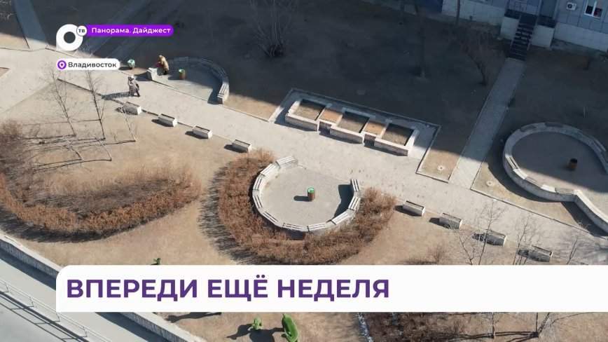 Названы лидеры голосования за скверы Владивостока,  которые обновят в 2025 году