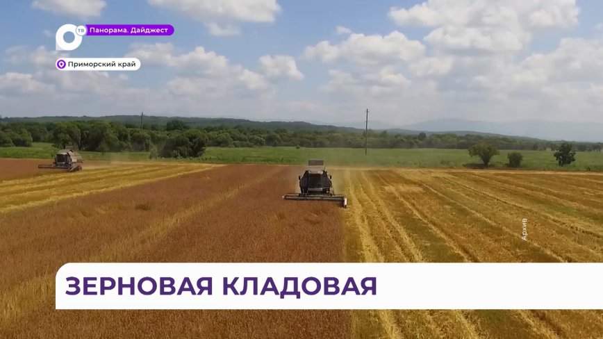 Приморье – лидер Дальнего Востока по урожаю зерна