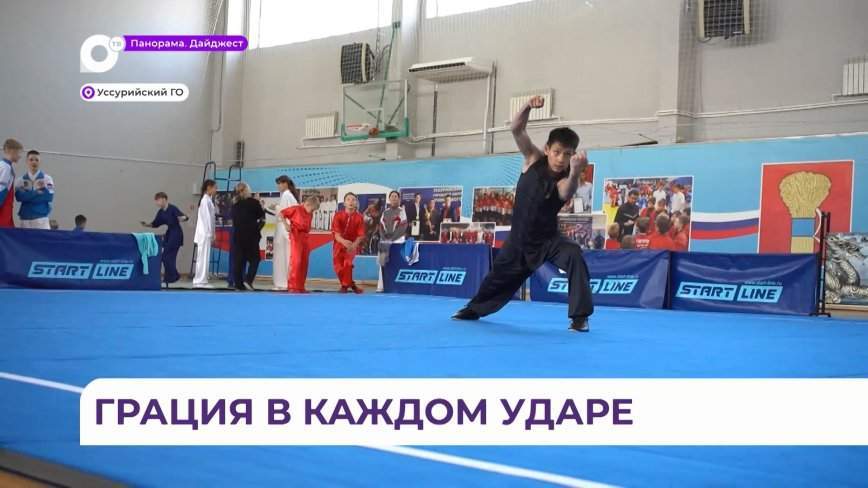 Спортсмены в дисциплинах кунг-фу и таолу сошлись на Кубке Приморского края