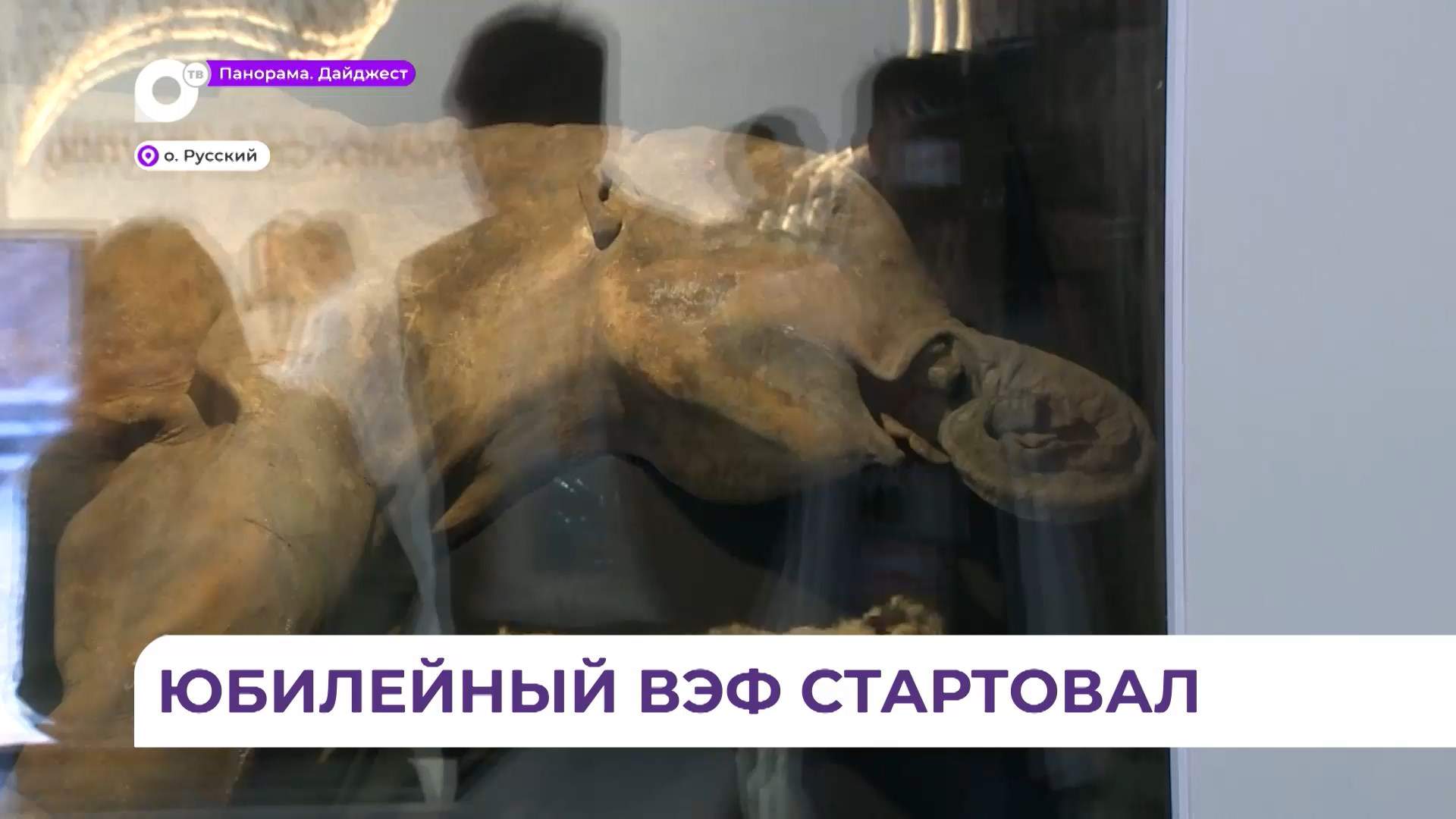  Якутия привезла на ВЭФ мамонта, которому более 130 тысяч лет