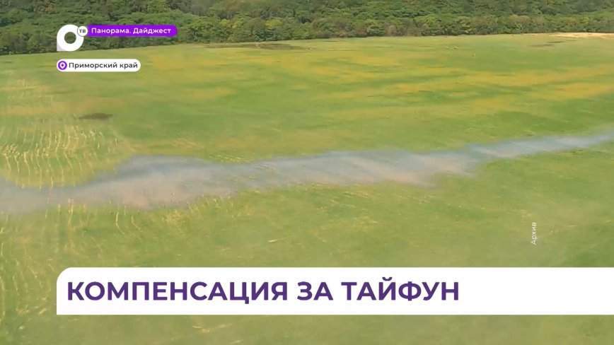 Приморские фермеры получат компенсацию за ущерб от тайфуна