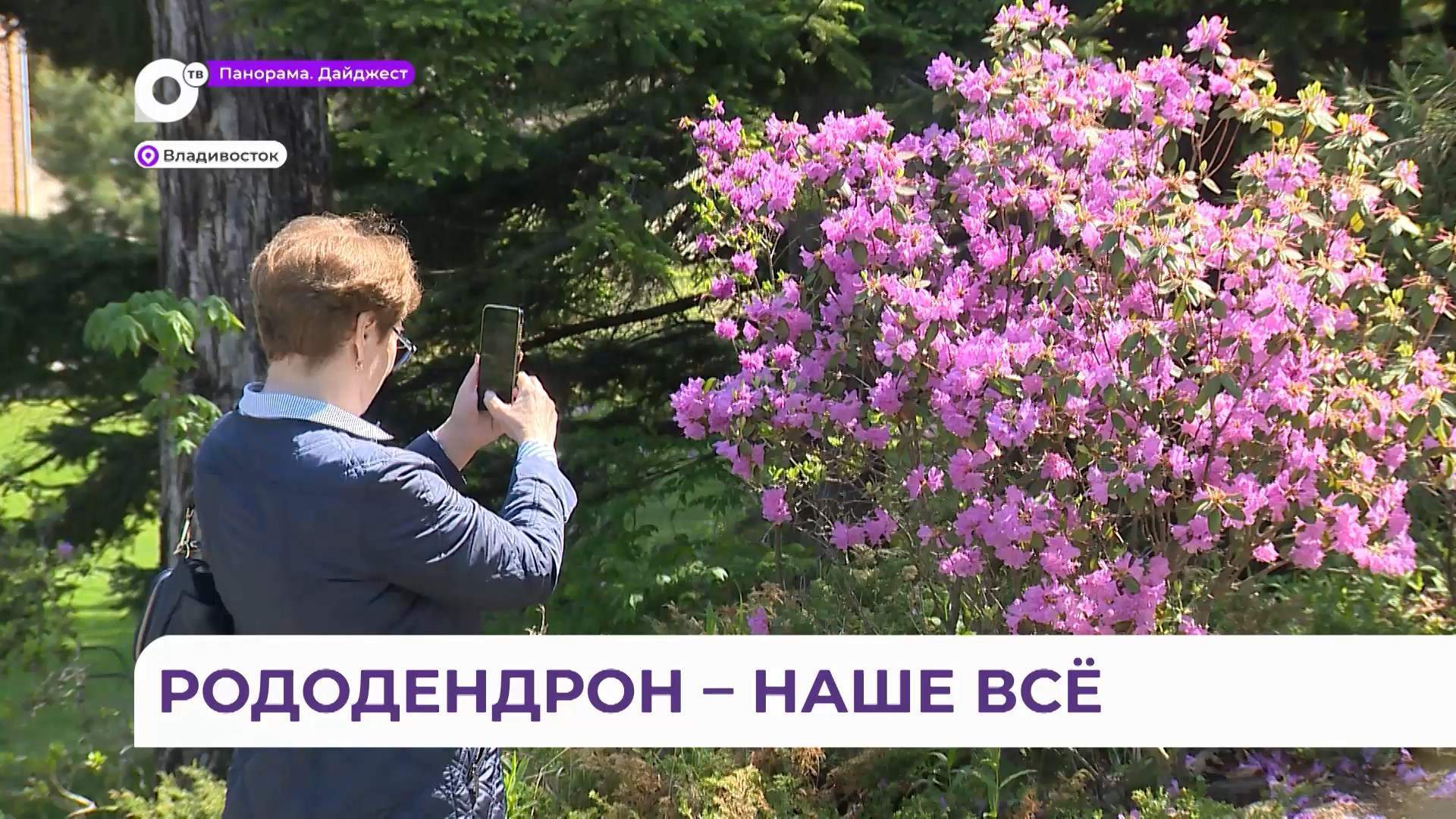 В Ботаническом саду во Владивостоке прошел фестиваль «Дни Р»