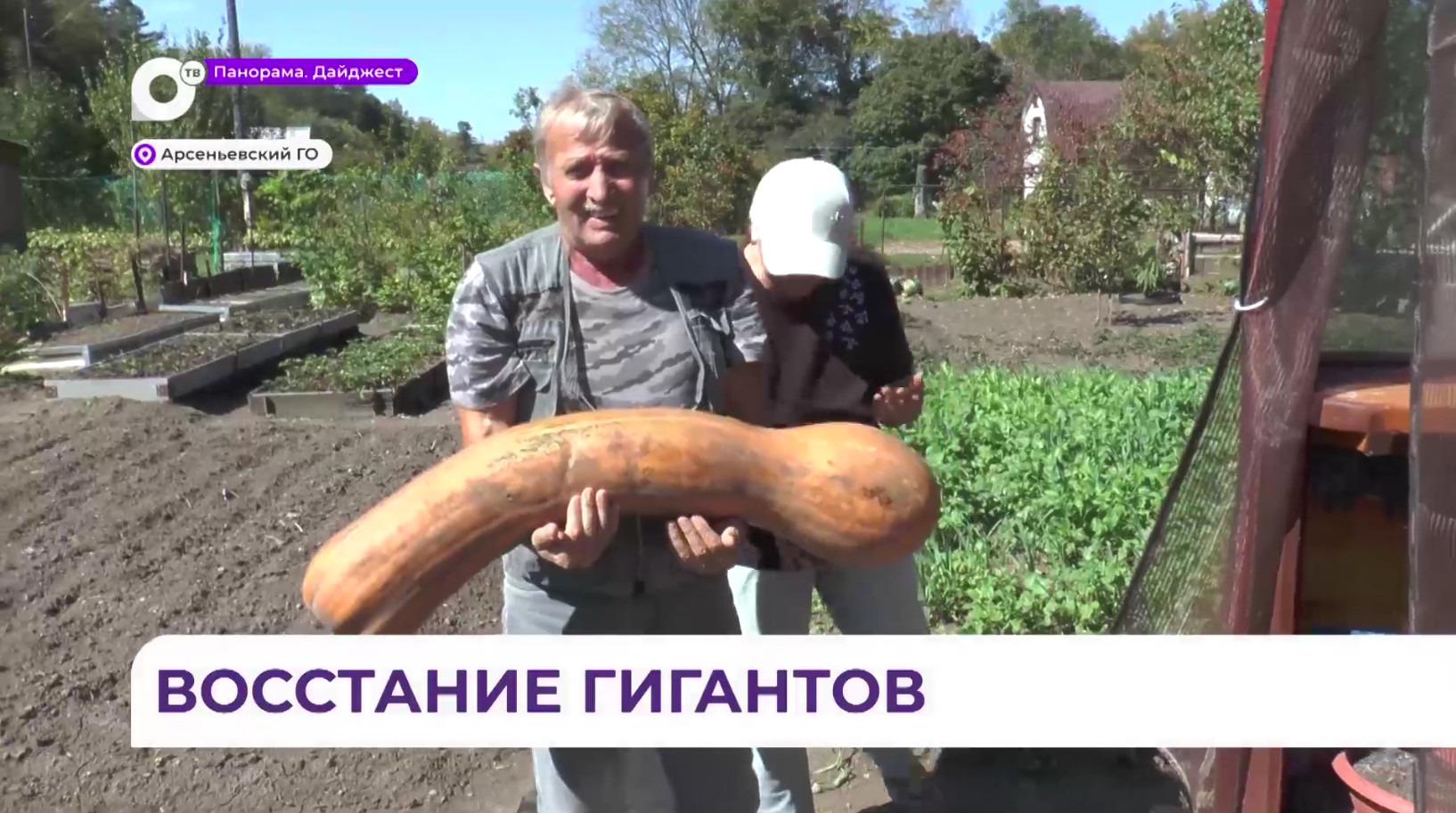 Метровая тыква и картофель в форме медведя — жителя Приморья делятся урожаем