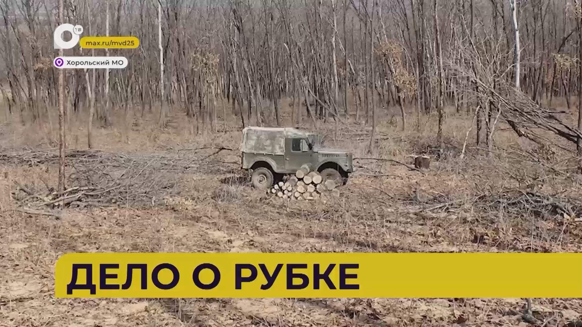 Автопатруль112 / Дело о рубке / 28.10.26