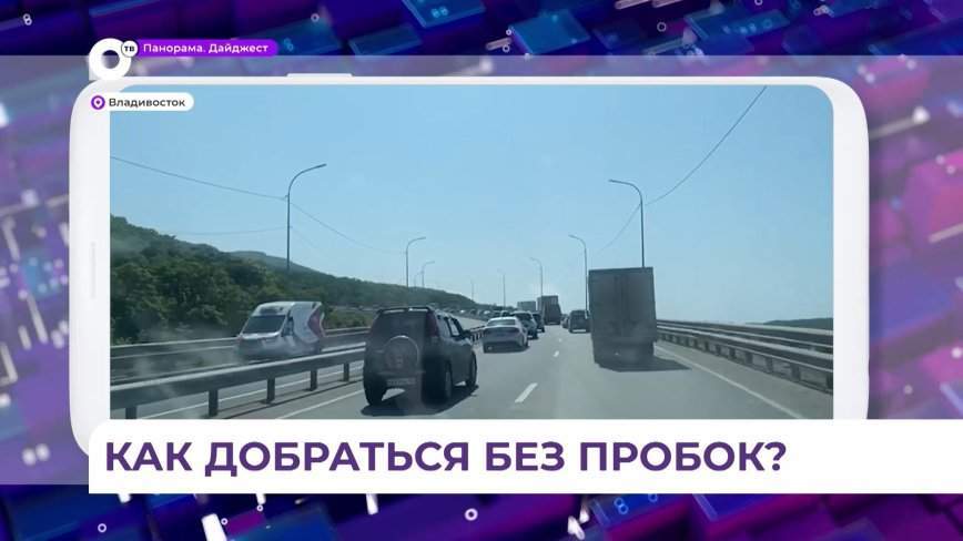 1500 светильников заменят на участке автодороги Седанка — Патрокл — Катерная