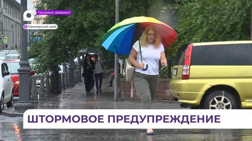 Влияние циклона обеспечит в Приморье ливни и порывистый ветер с вечера 31 июля до 1 августа