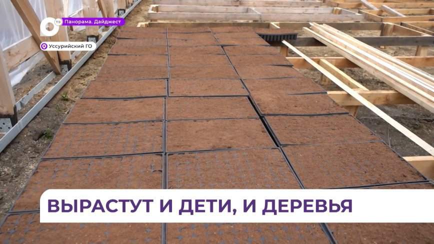 Первую высадку семян в тепличном лесопитомнике доверили юным лесничим Приморья