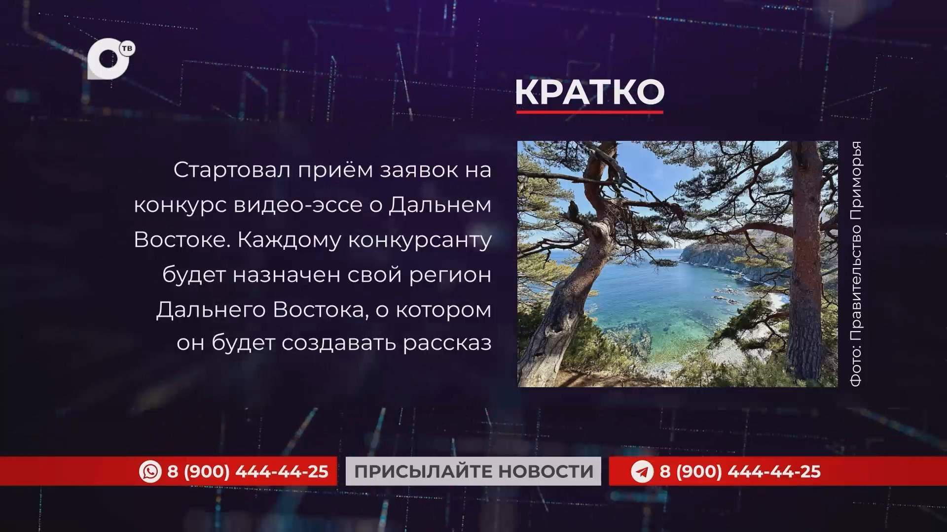Кратко / 01.09.25 / Вечер