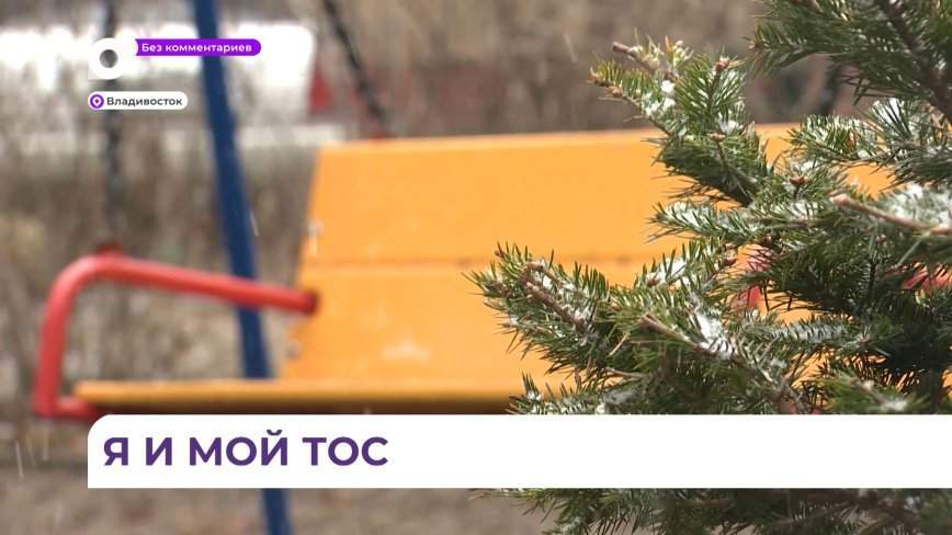 Без комментариев. Я и мой ТОС