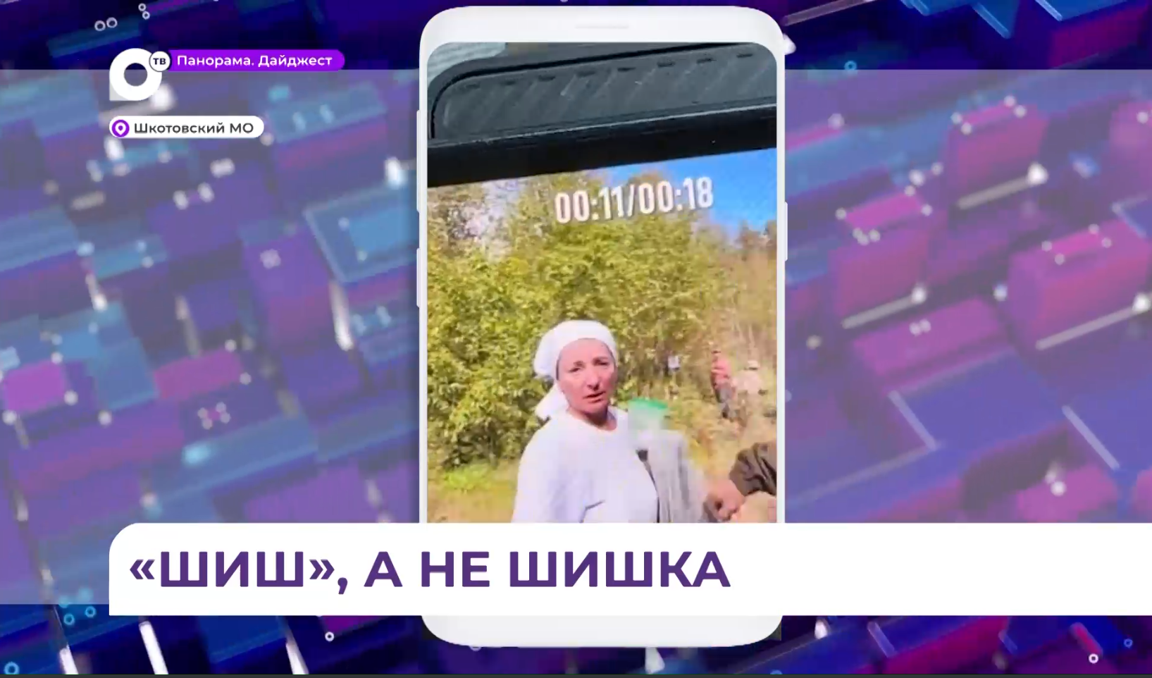 Нападение на корреспондента ОТВ произошло во время лесного рейда в Приморье 