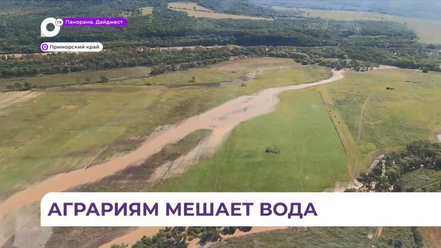 Минсельхоз Приморья озвучил площадь подтопленных сельхозугодий
