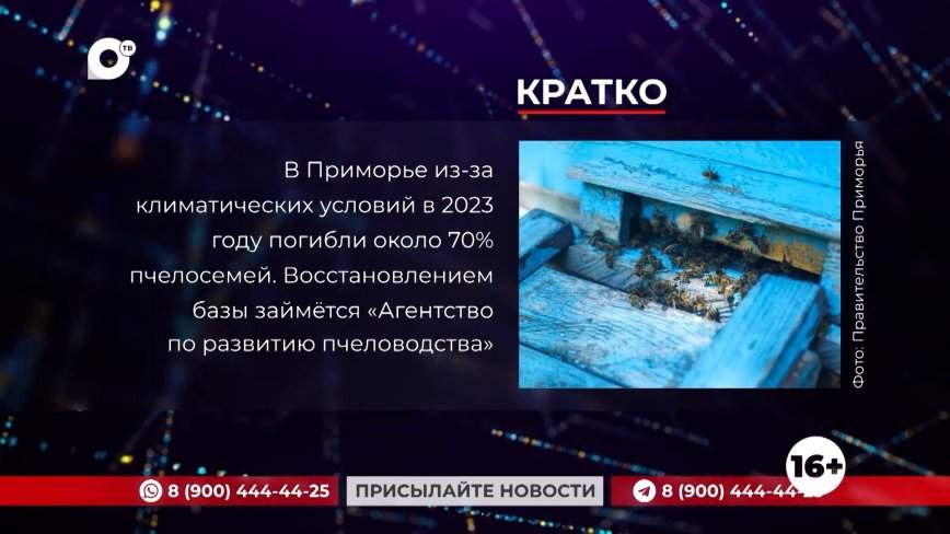 Кратко. 21.03.24 (Вечер)