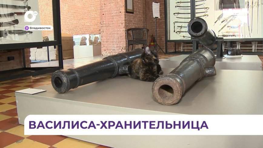 В музее истории Дальнего Востока имени Арсеньева появился новый сотрудник