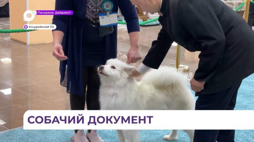 Кинологический клуб в Уссурийске провёл льготное чипирование домашних животных