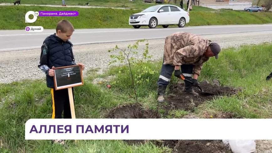 «Аллею памяти» создали жители посёлка Дунай