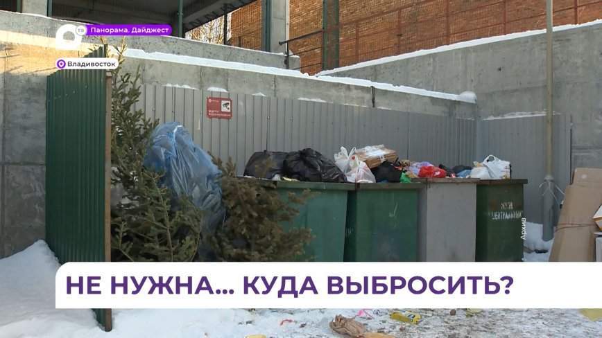 Ненужные после праздников ёлки можно отдать на переработку Приморскому экологическому оператору