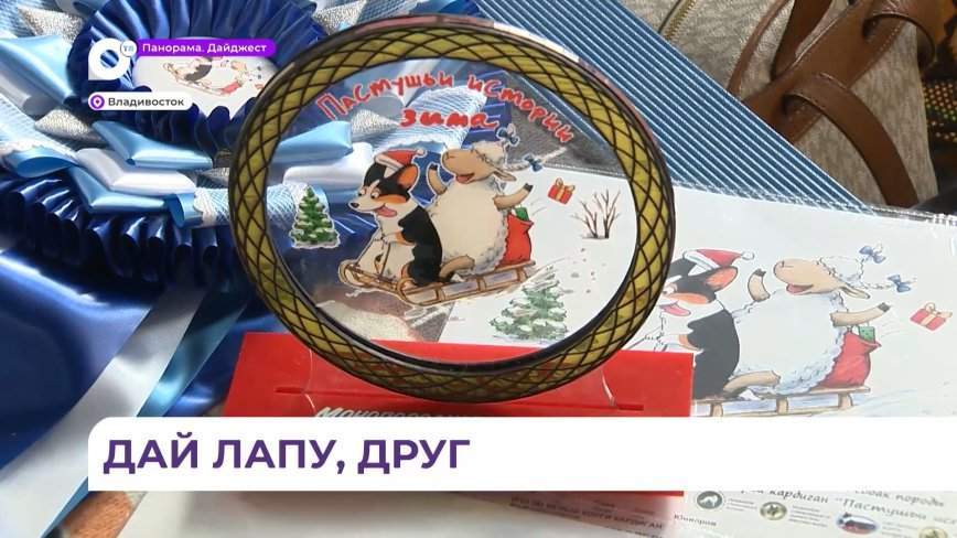 Ежегодный «Форум кинологов» собрал больше 600 участников со всего Дальнего Востока