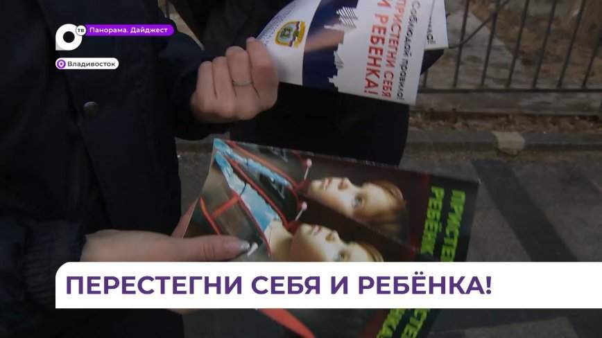 В Приморье ГИБДД проверяет правила перевозки детей в автомобилях