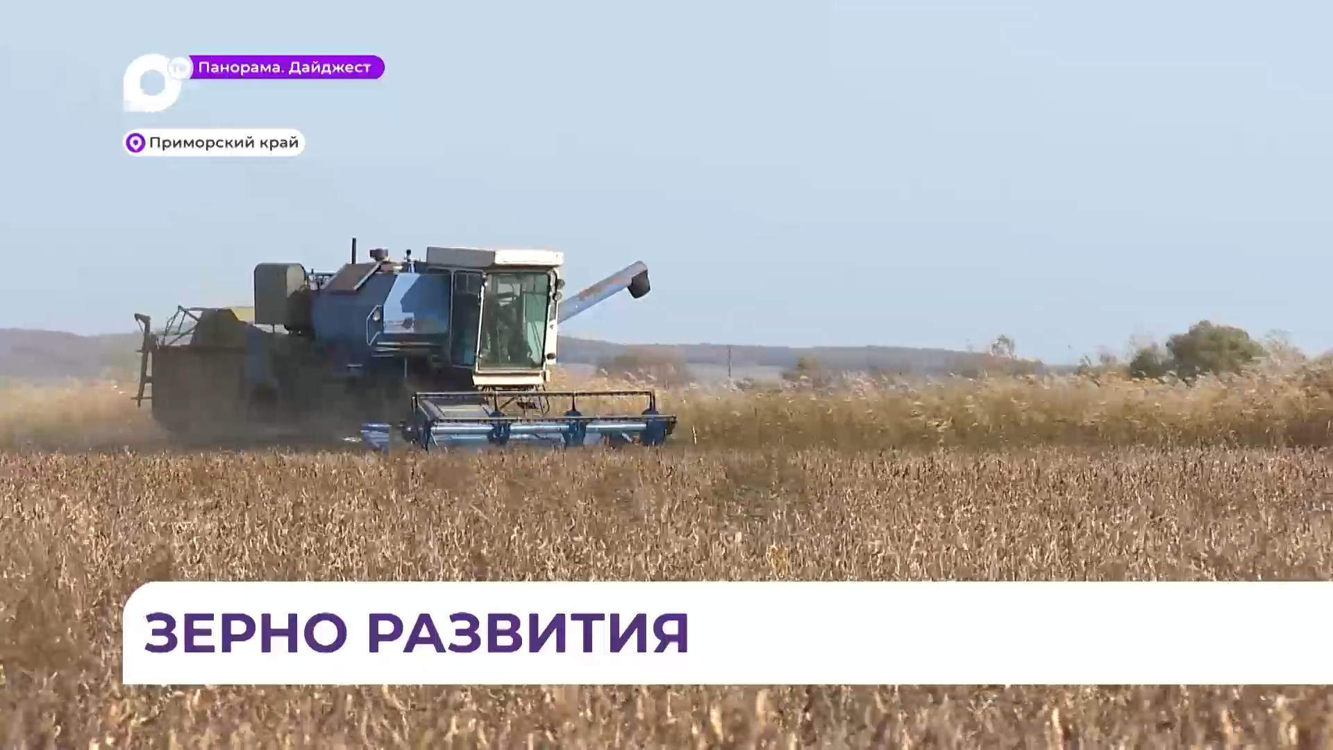 Вопросы развития агрокультуры обсудил губернатор Приморья с министром сельского хозяйства РФ