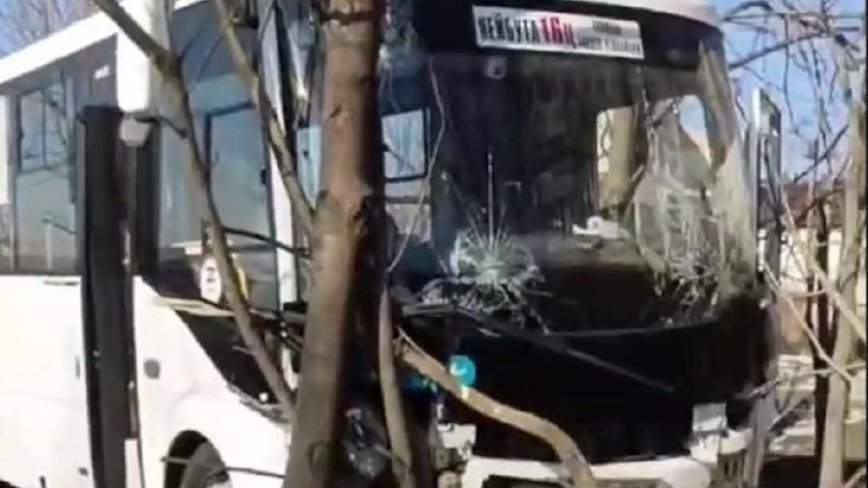 Стало плохо за рулем: пассажирский автобус врезался в дерево во Владивостоке — подробности