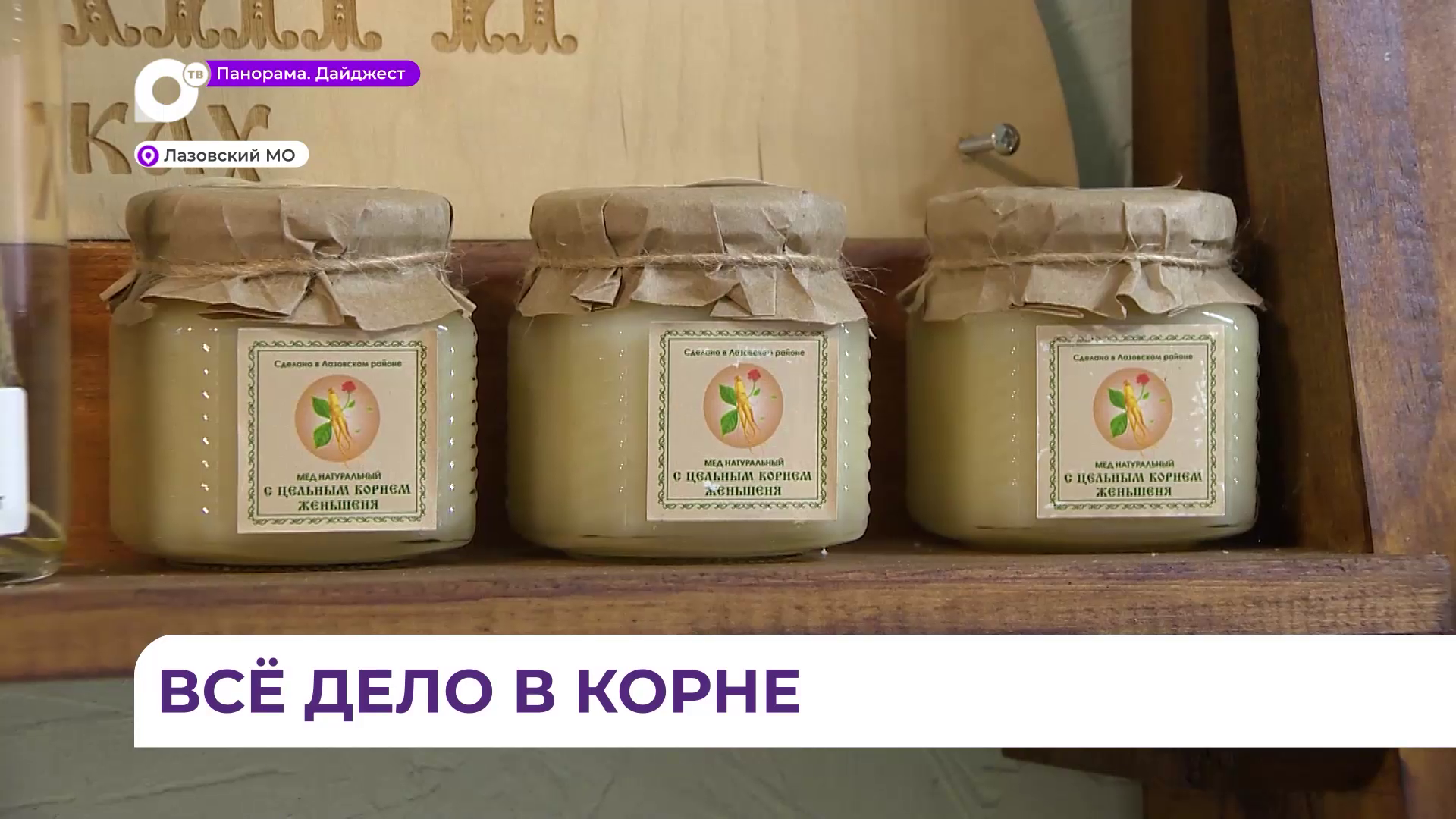 Российский женьшень выращивают на ферме в Лазовском округе — единственной на ДВ