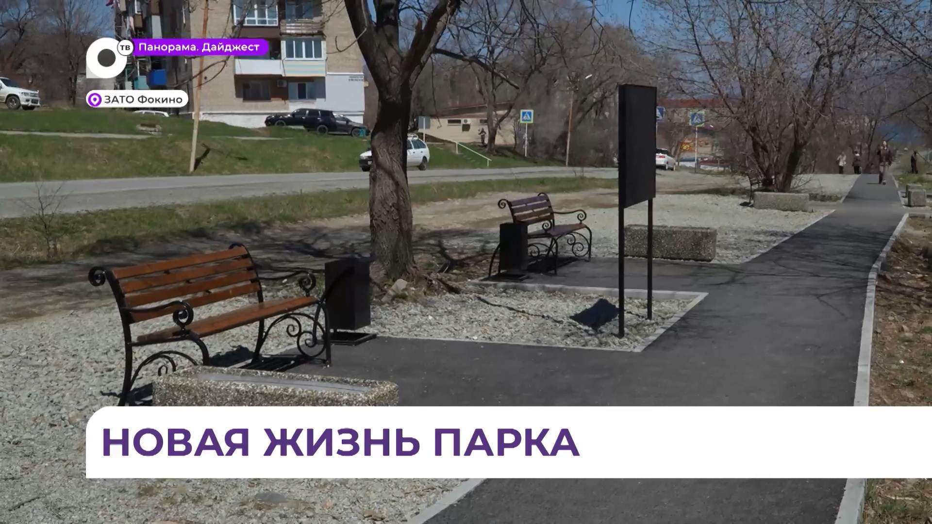 Парк «Прибрежный» в посёлке Дунай ждут большие перемены