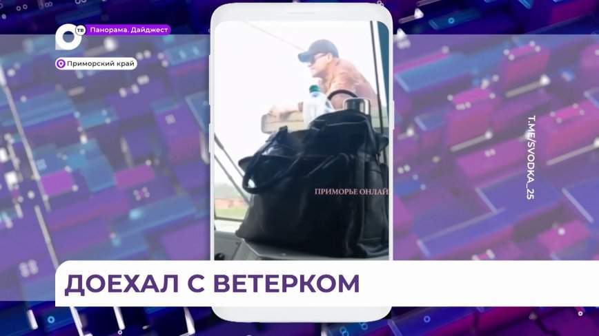 «Зайца» потянуло на природу: неожиданную «находку» обнаружили в грузовом вагоне в Приморье