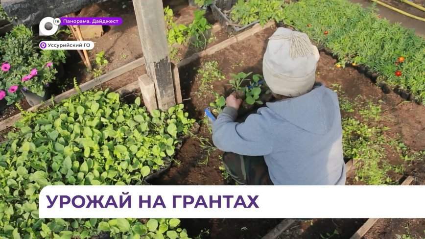 Закупить новую технику и увеличить производство продукции могут фермеры Приморья