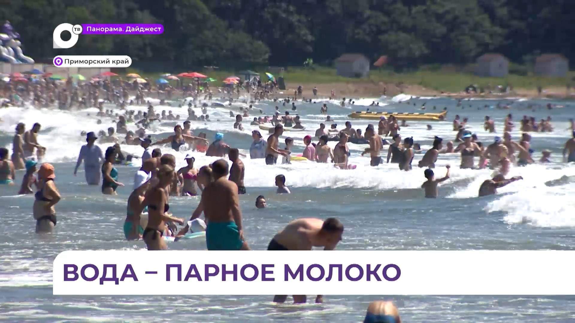 Синоптики зафиксировали в Приморье аномальную температуру воды
