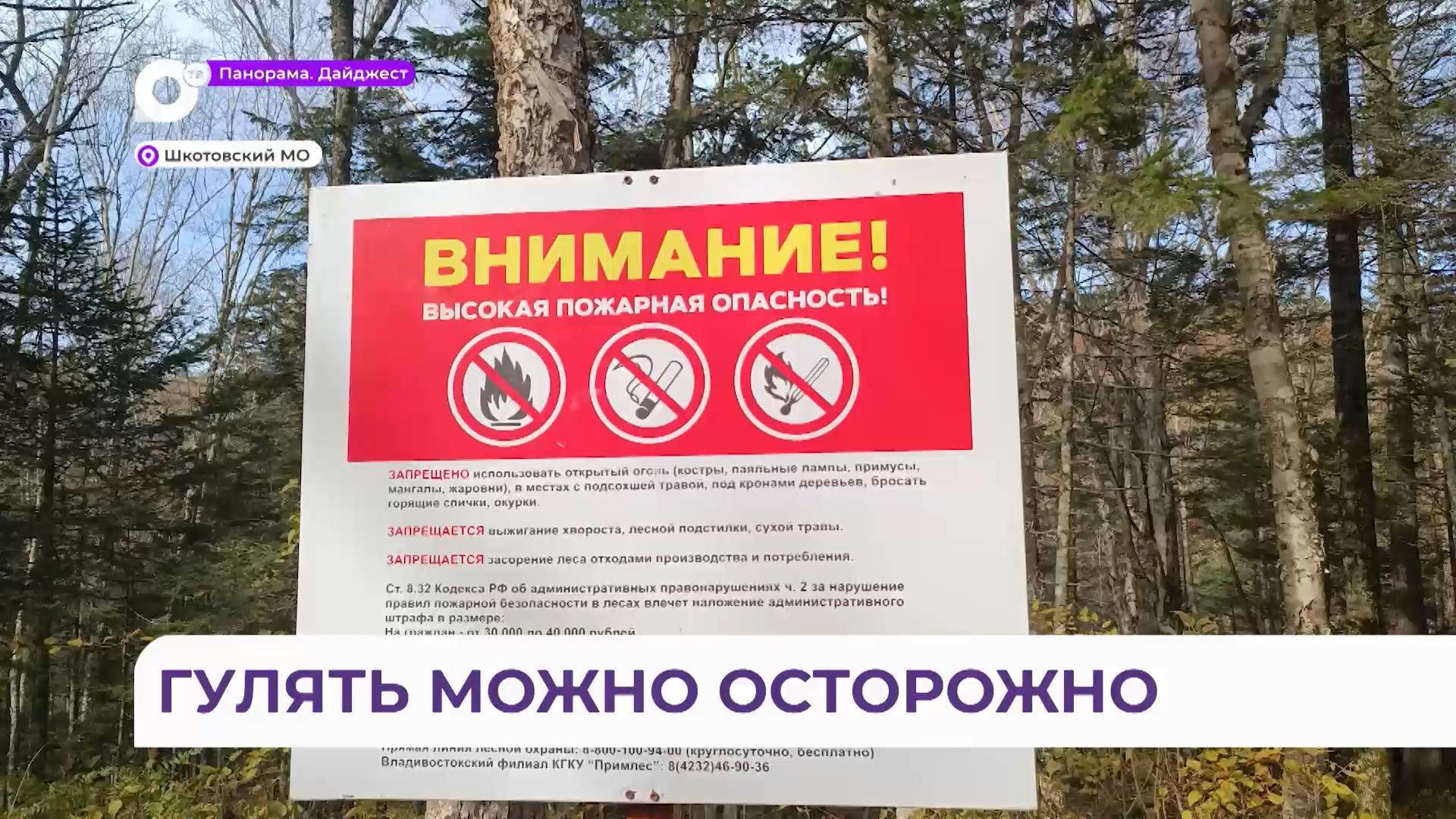 Отдыхающих предупреждают: в Шкотовском округе пожароопасный сезон в самом разгаре